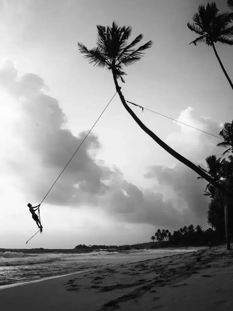 Christian Life Fellowship Cape Coral Florida - Ride Nature 2